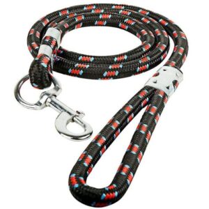 Dog Lease 4 ft