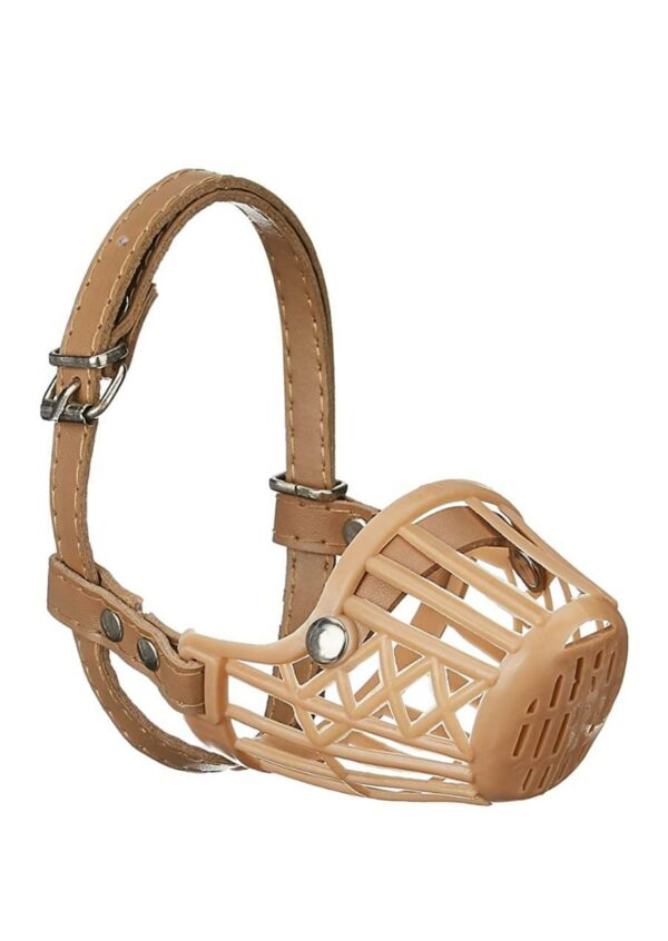 Dogs muzzle