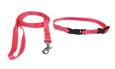 Nylon Leash & Coller Set 1\2''