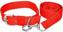 Nylon Leash & Coller Set 1''