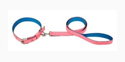 Nylon Leash & Coller Set 1 1\4''