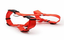 Nylon Harness Adjustable 1''